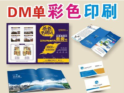 安阳单页印刷,色彩搭配简单。
